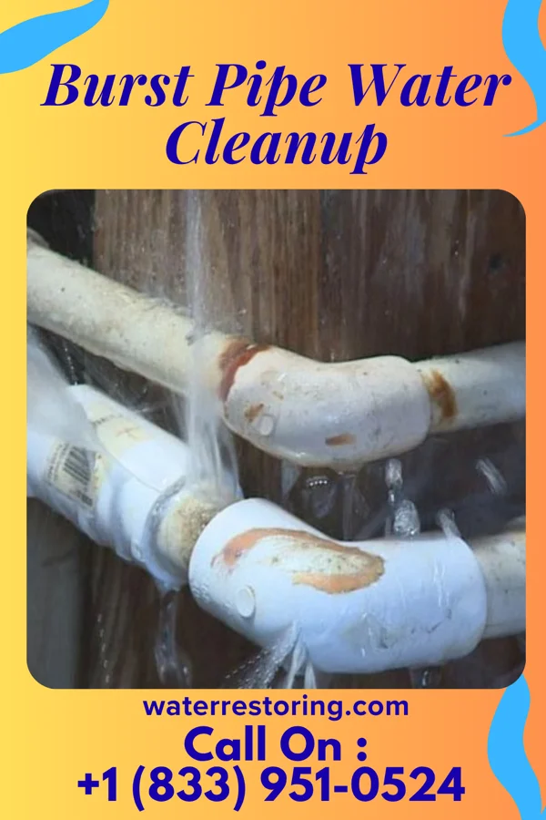 Burst Pipe Water Cleanup in Ramer, TN