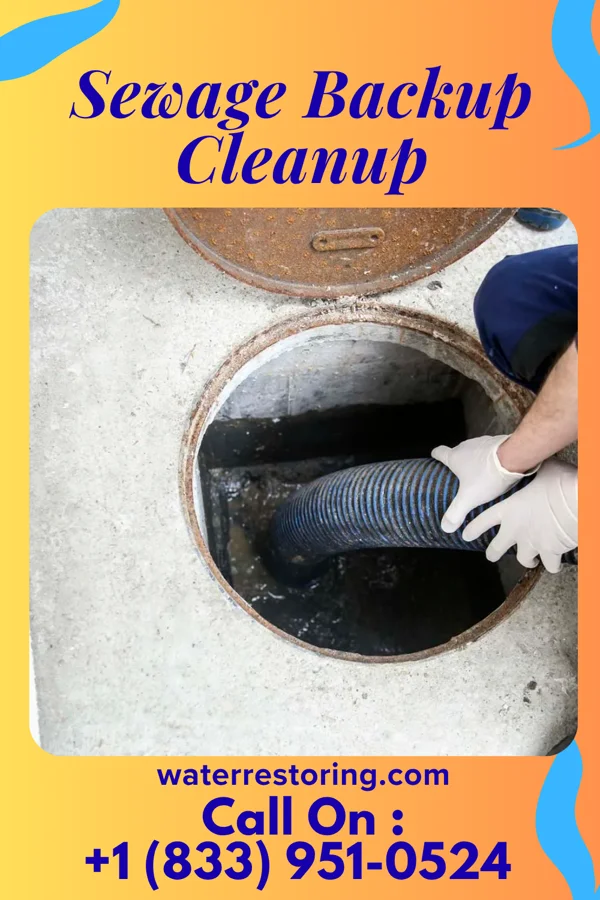 Sewage Backup Cleanup in Ramer, TN