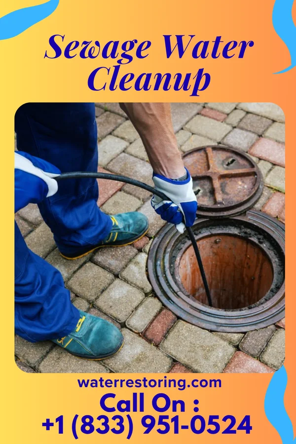 Sewage Water Cleanup in Ramer, TN